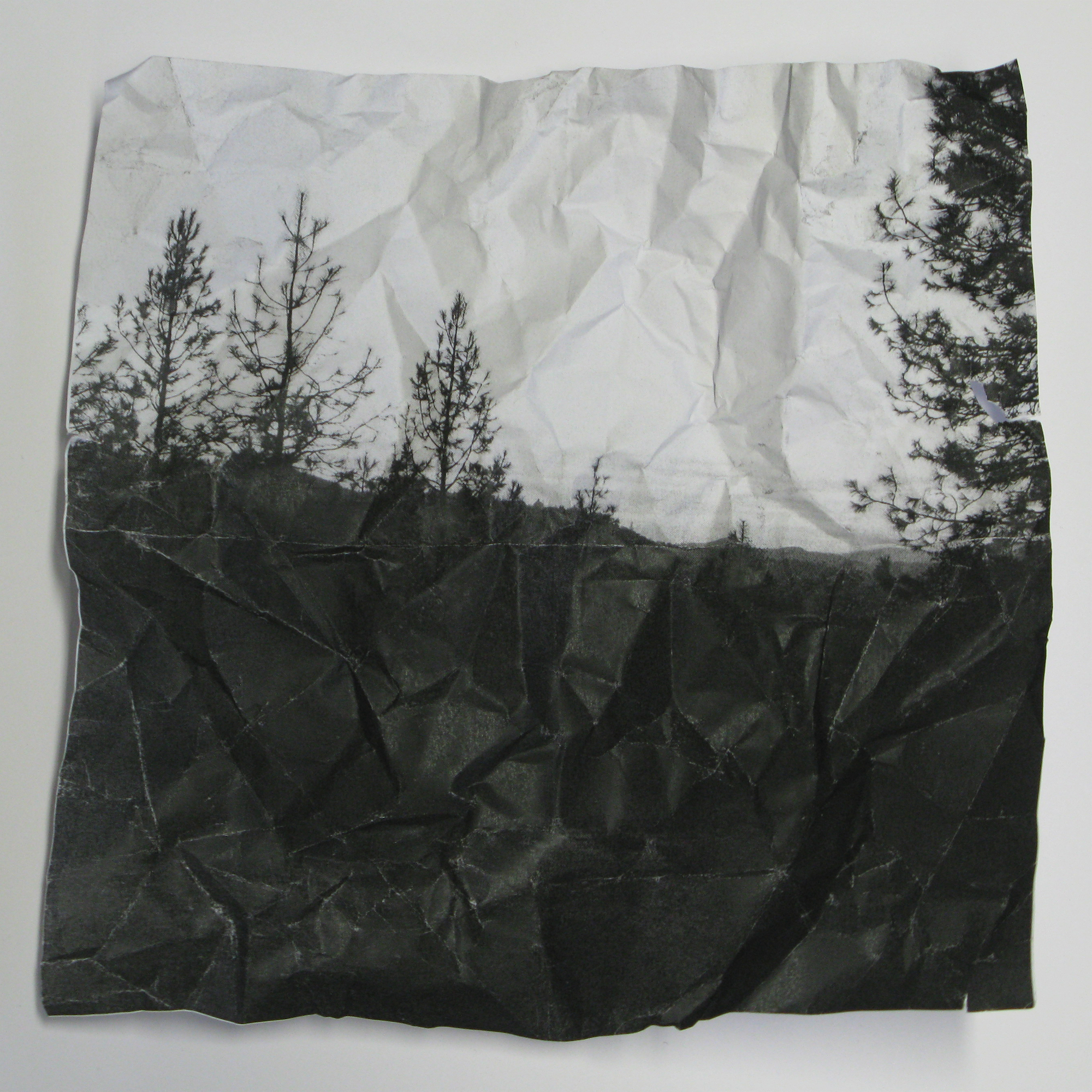 landscape for darkroom (small)